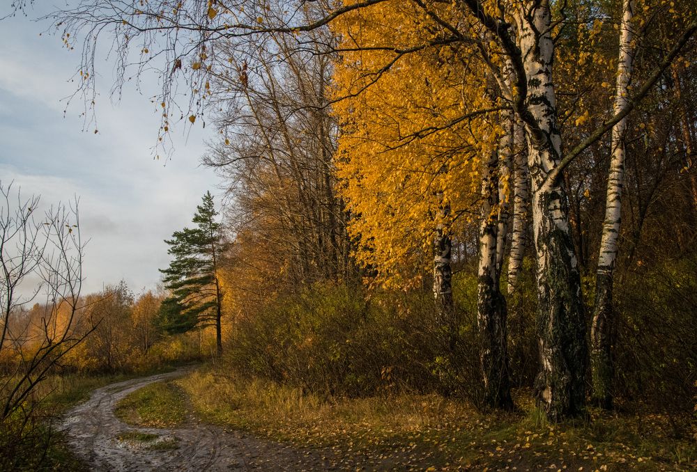 Фотография автора Виктор Руденко
