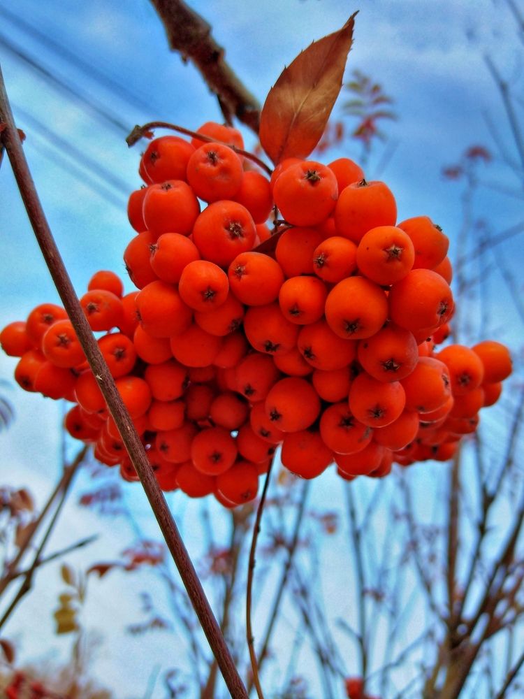 Photograph by Наталия Юминова