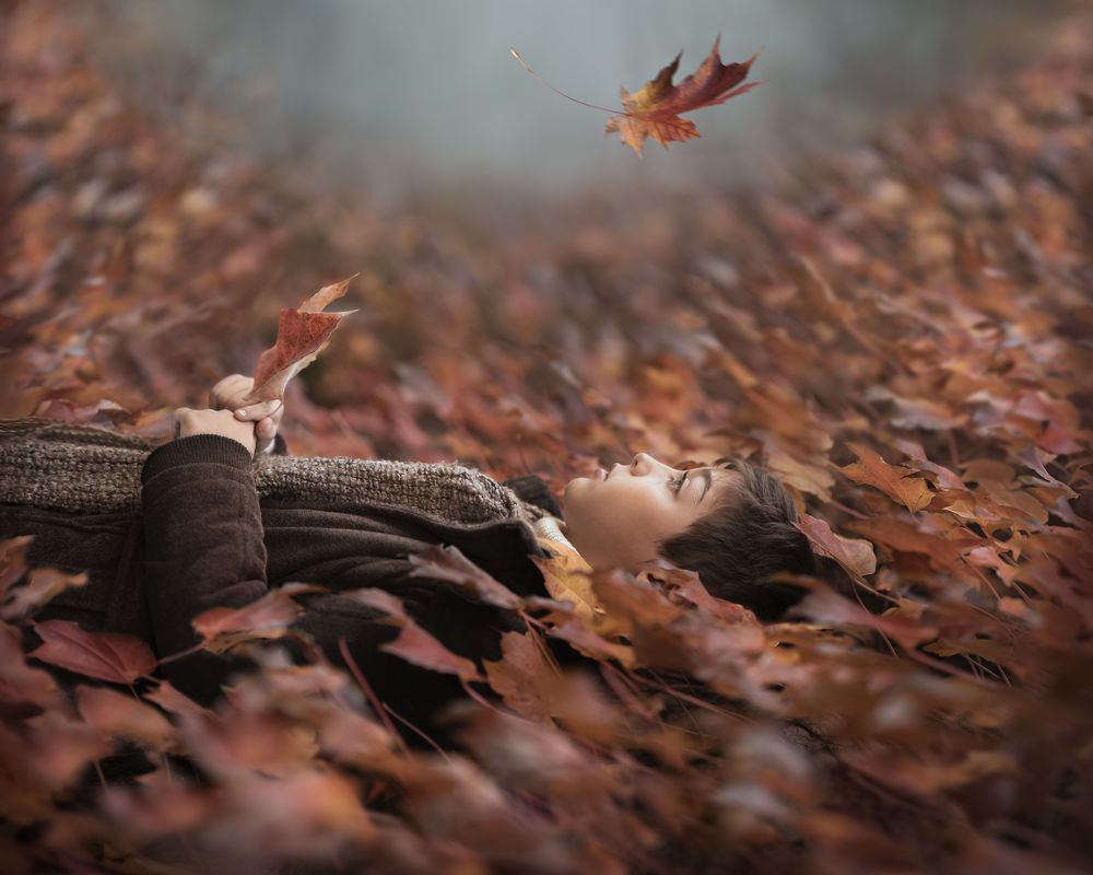 The last leaf of autumn