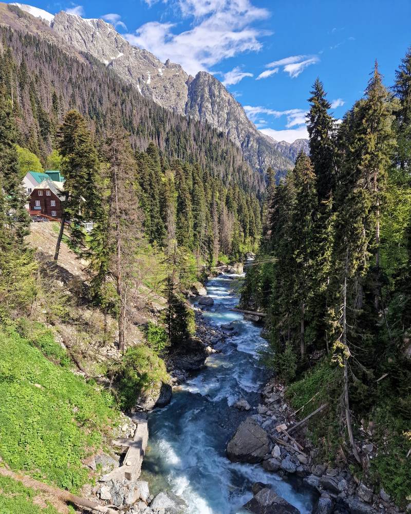 Photograph by Tatyana