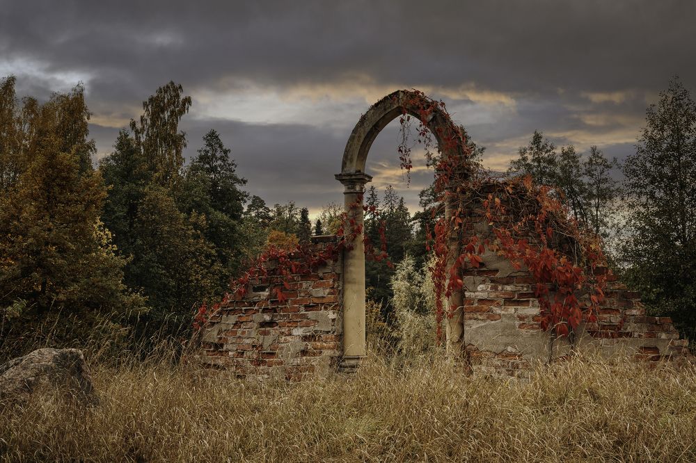 Photograph by Anna Sindikayeva