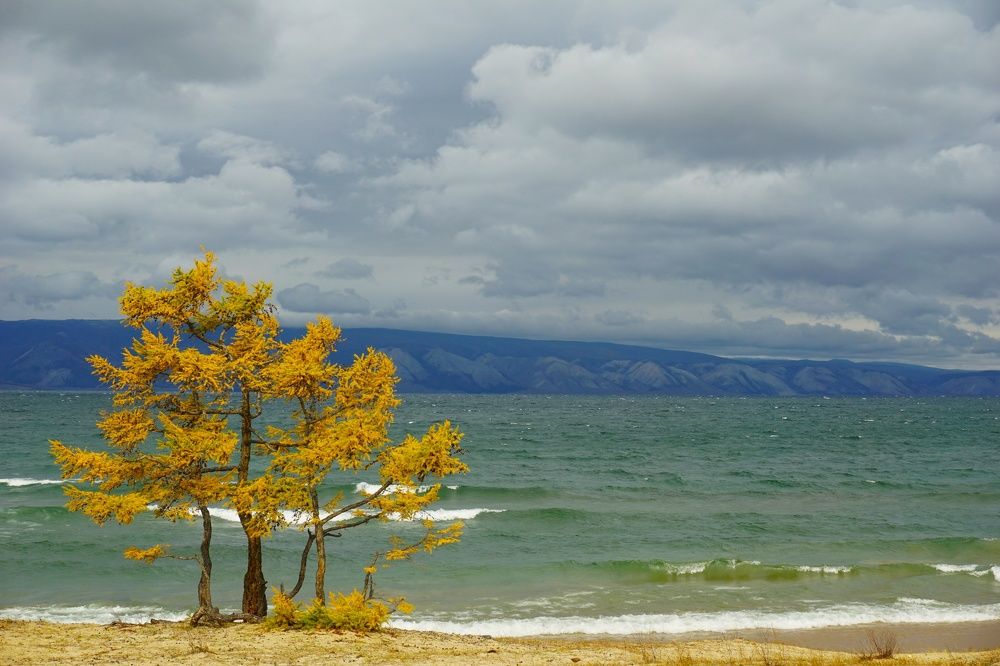 Photograph by Анастасия Скворцова