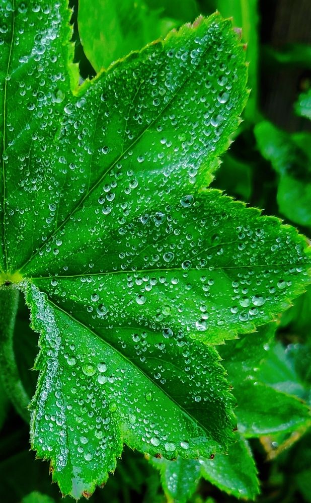 Photograph by Елена