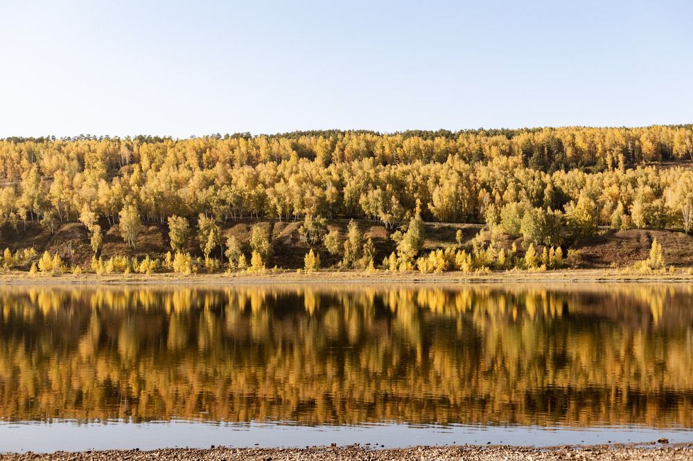 Photograph by Елизавета Дзюбак