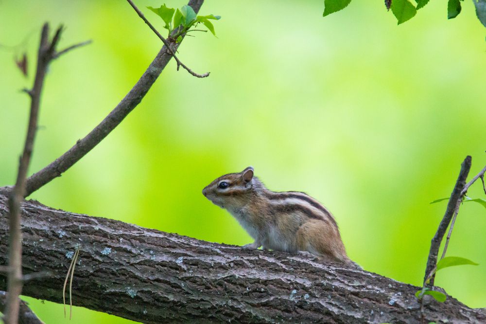 Photograph by Denis Schetinin