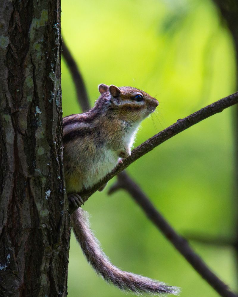 Photograph by Denis Schetinin