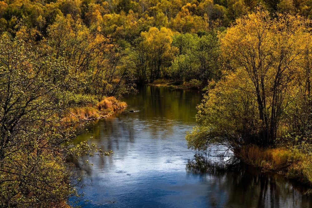 Photograph by Андрей Захаров