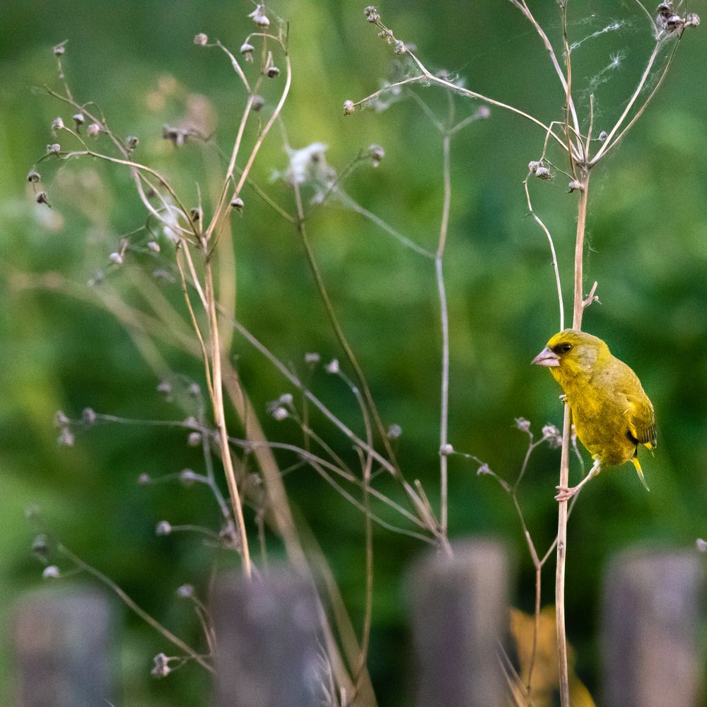Photograph by Denis Schetinin