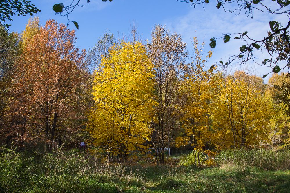 Photograph by Елена Шахова