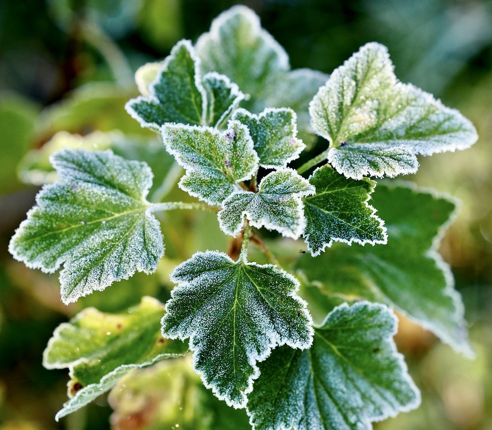 Photograph by Алексей Романов