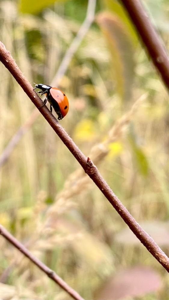 Photograph by Евгения Казакова