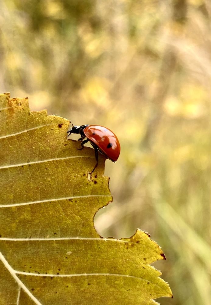 Photograph by Евгения Казакова