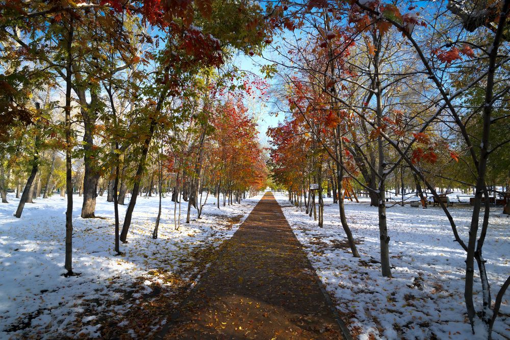 Photograph by Василий Снигирь