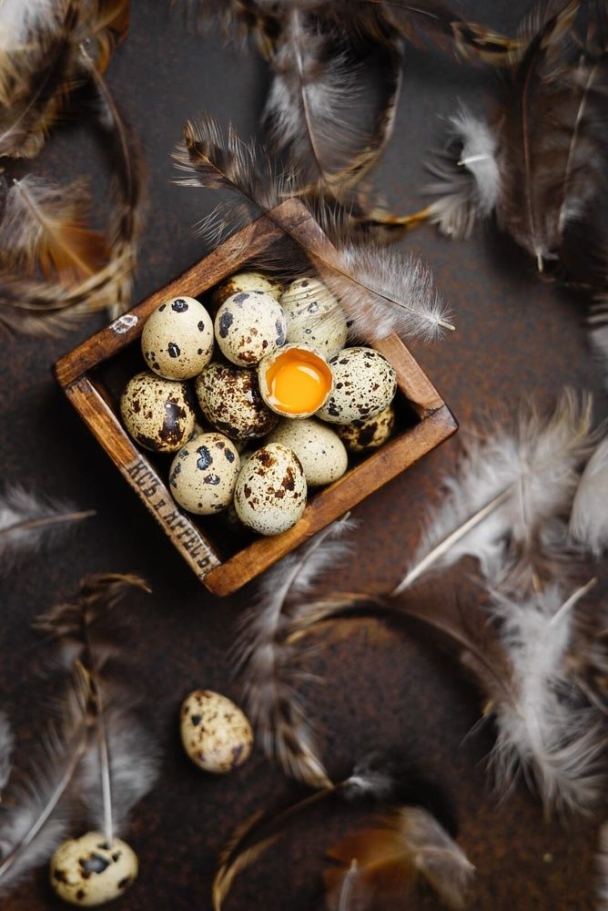 Photograph by Олеся Шульц