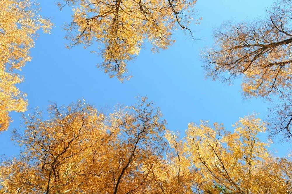 Photograph by Ольга Пришедько