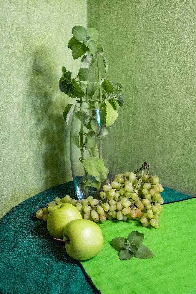 Предметы в зеленых тонах