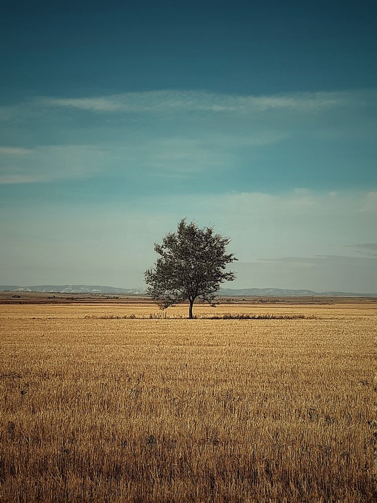 Photograph by Ксения Олина