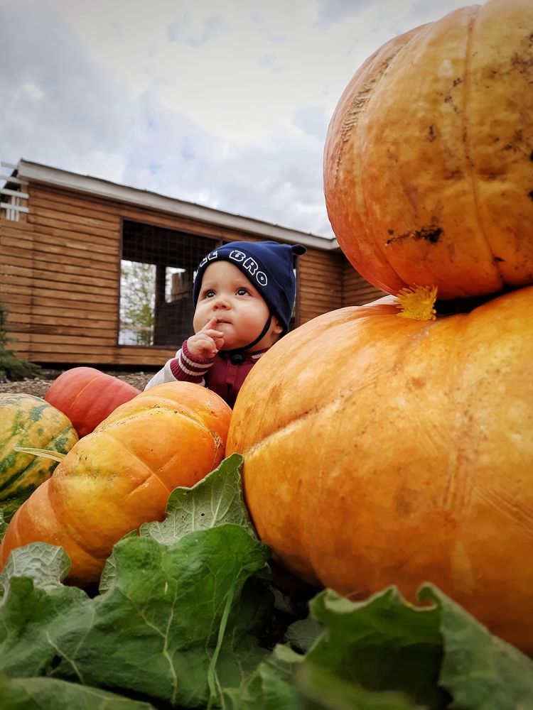 Photograph by Ксения Олина