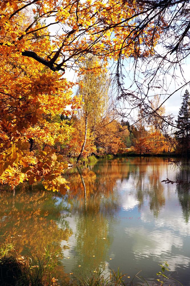 Золотая осень.