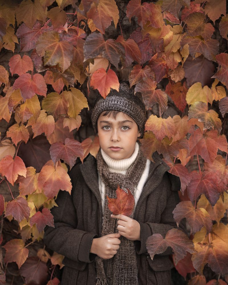 The last leaves of Autumn