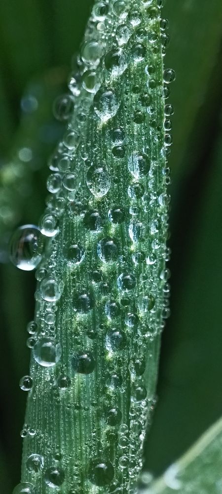 Photograph by Russia Egorova