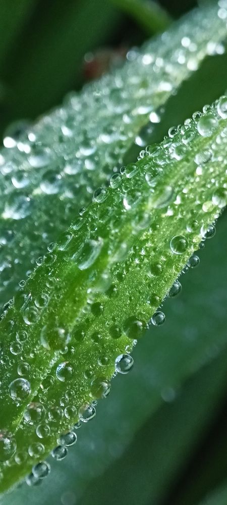 Photograph by Russia Egorova