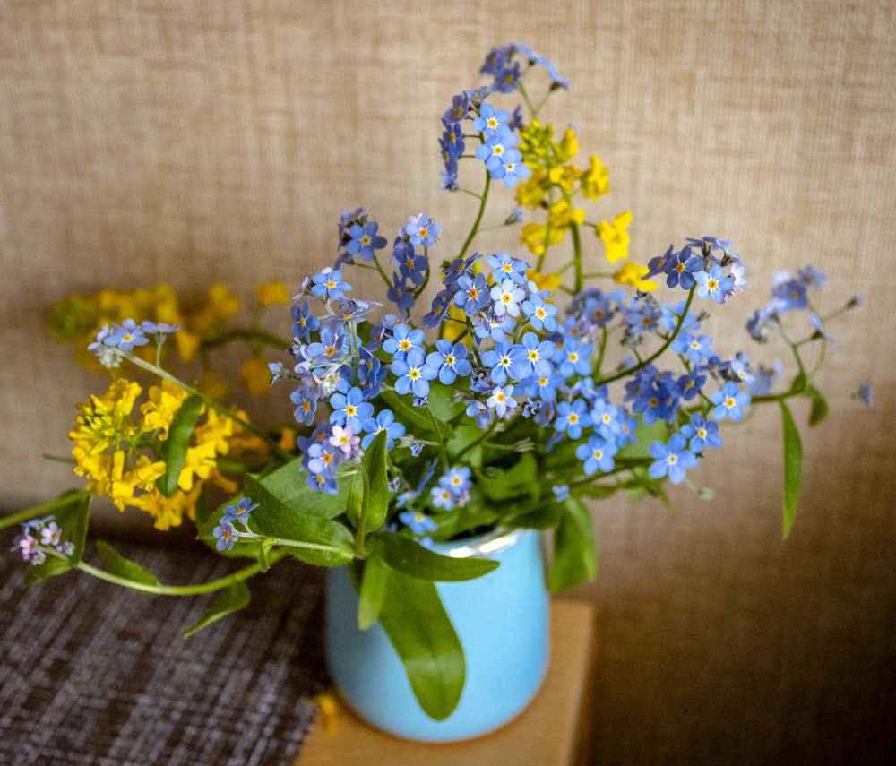 Photograph by Юрий Катков