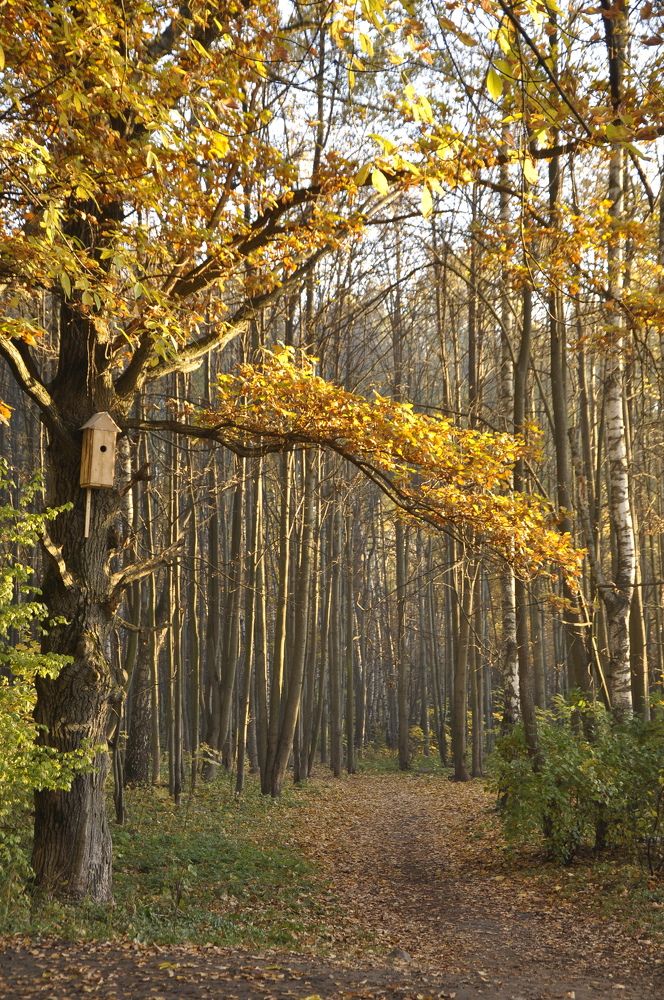 Photograph by Ольга Струкалина