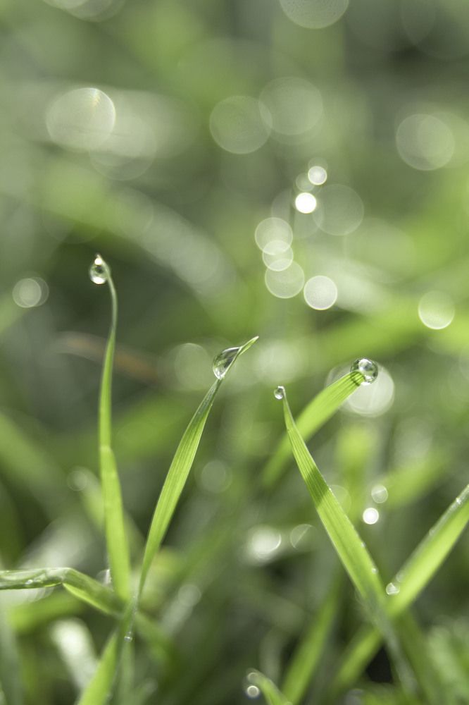 Photograph by Russia Egorova