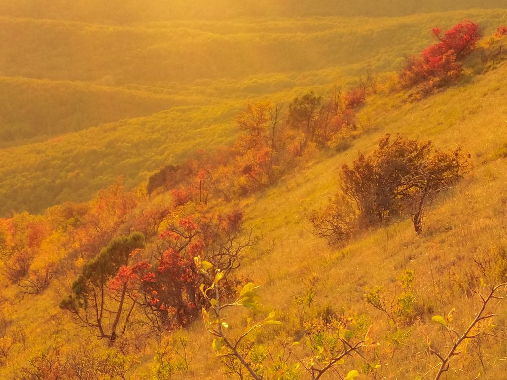 Photograph by Alexandra German