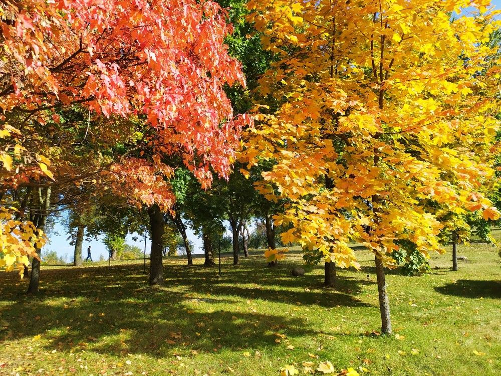 Photograph by Людмила Муравьева