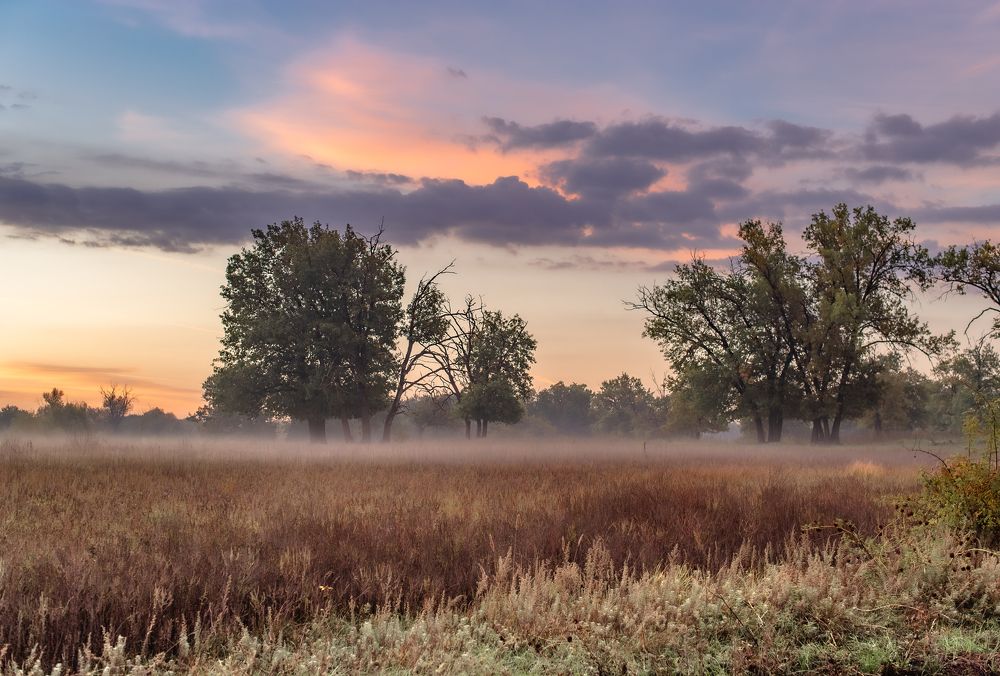 Photograph by Васильев Роман