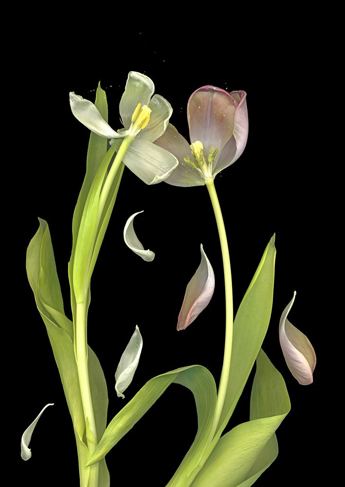 Photograph by Наталья Коньшина