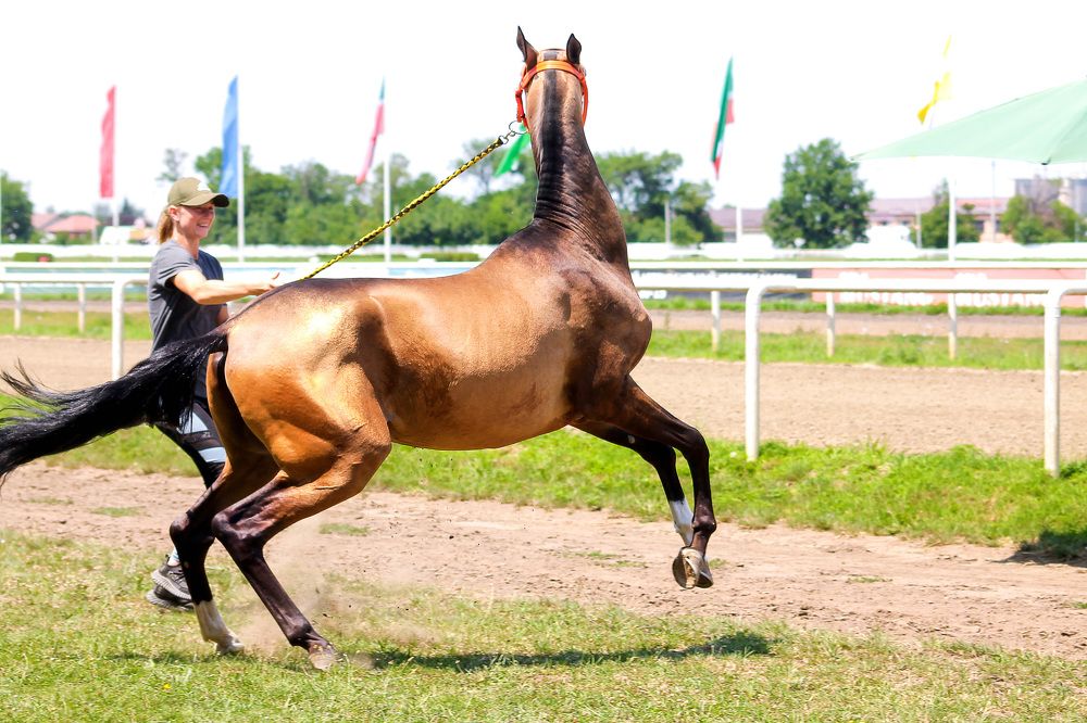 Photograph by Ольга Сельницына