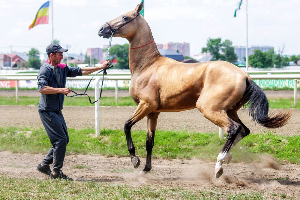 Photograph by Ольга Сельницына