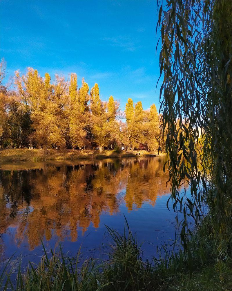 Photograph by Александр Панин