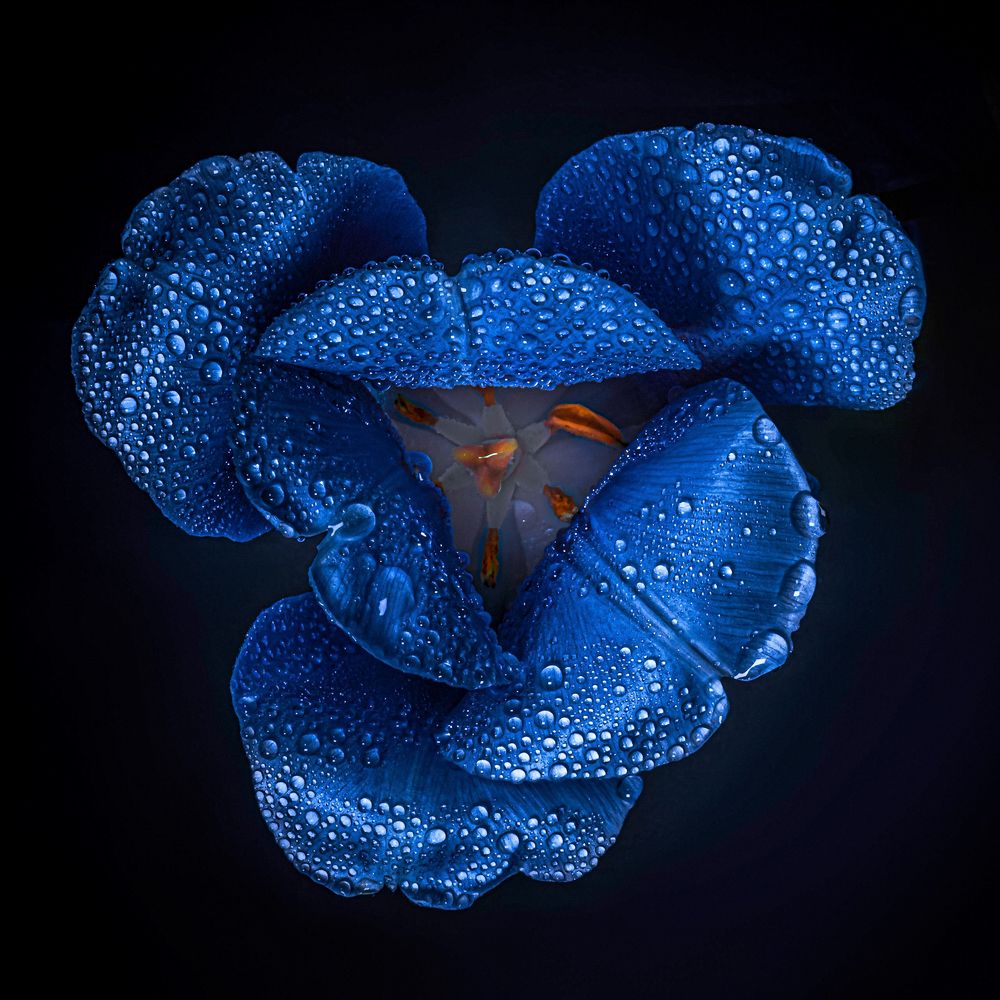 Photograph by Захарова Надежда