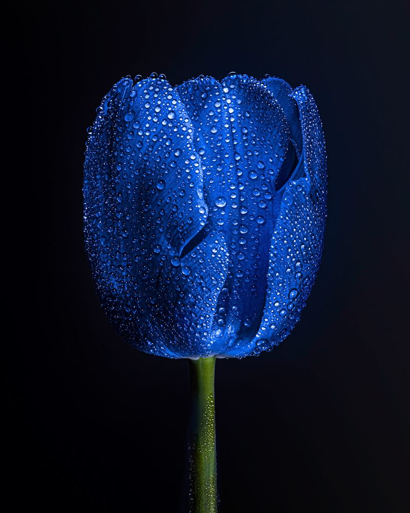 Photograph by Захарова Надежда