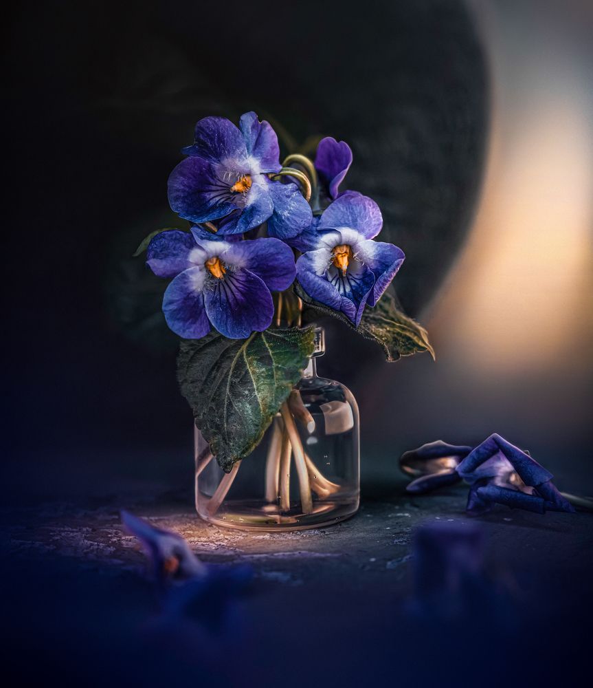 Photograph by Захарова Надежда