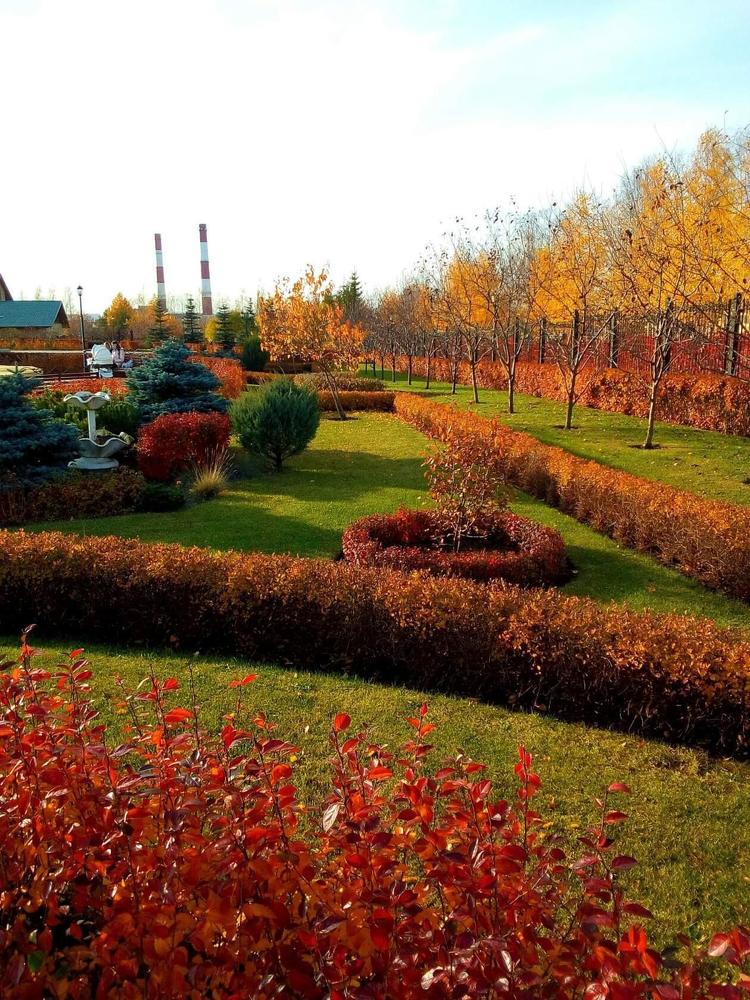 Photograph by Елена