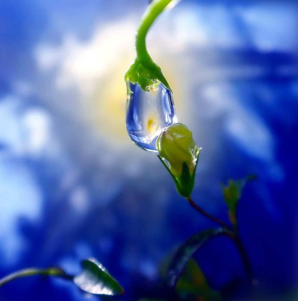 Photograph by Любовь Саханова