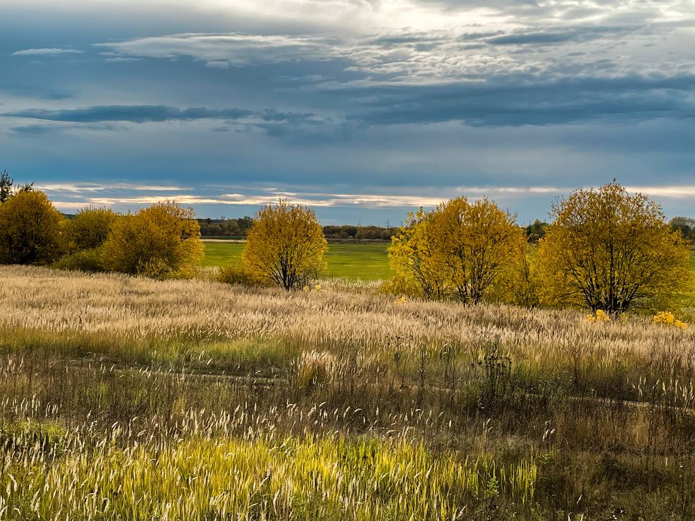 Фотография автора Рамзия Хисамутдинова