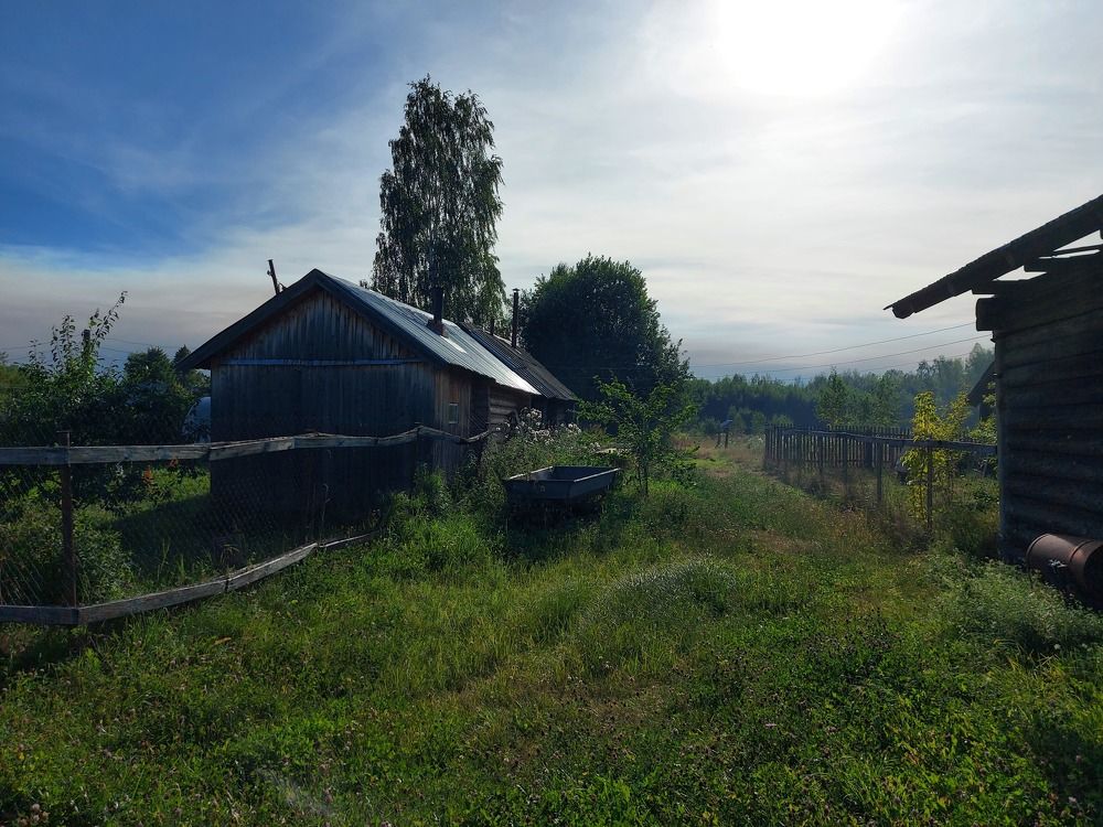 Фотография автора Екатерина Борзыкина