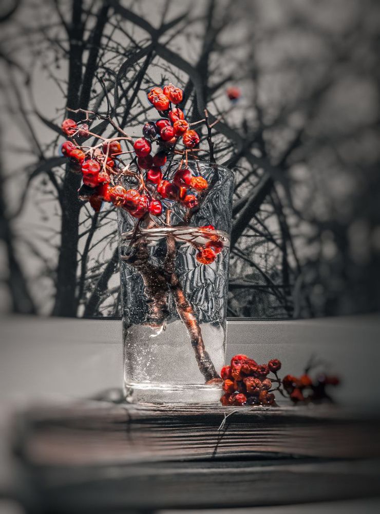 Photograph by Дмитрий Кашиков