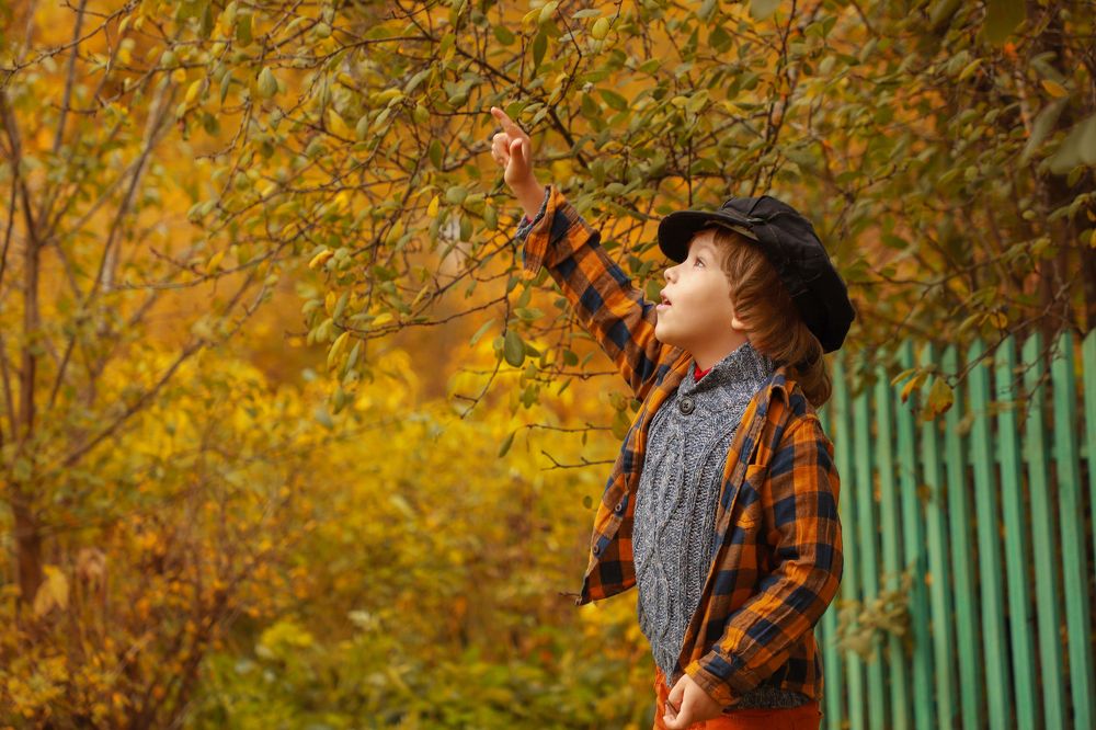 Photograph by Елена Сиднина