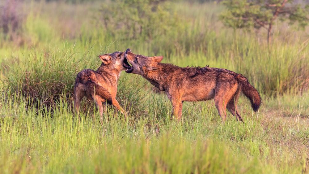 Photograph by Sameer Mudaye