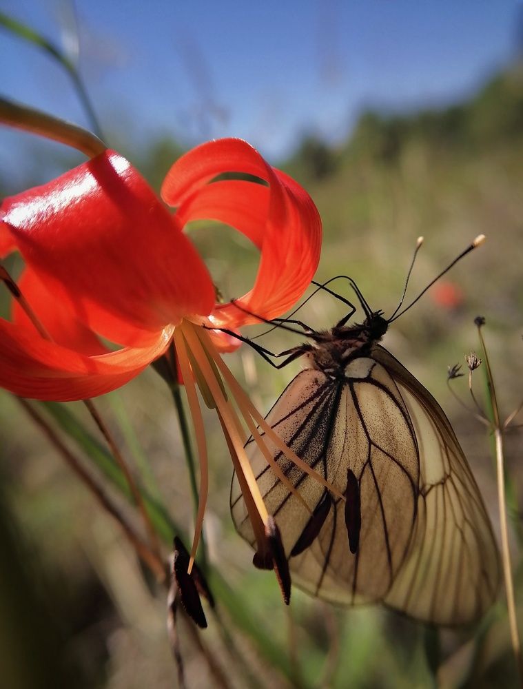 Photograph by Тамара