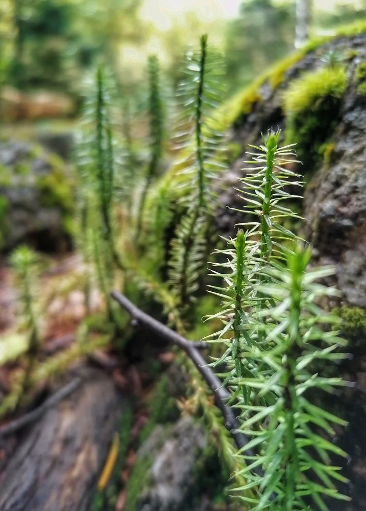 Photograph by Тамара