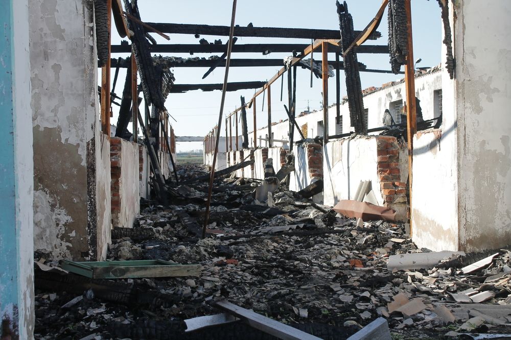 Photograph by Ольга Сельницына