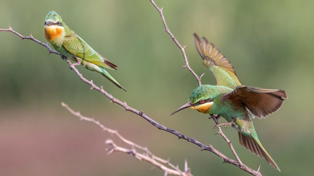 Photograph by Sameer Mudaye